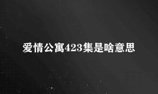 爱情公寓423集是啥意思