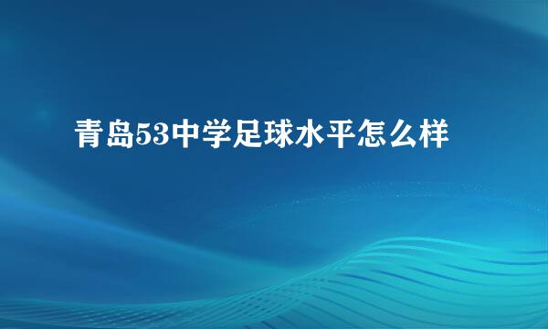 青岛53中学足球水平怎么样