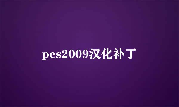 pes2009汉化补丁