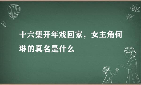 十六集开年戏回家，女主角何琳的真名是什么