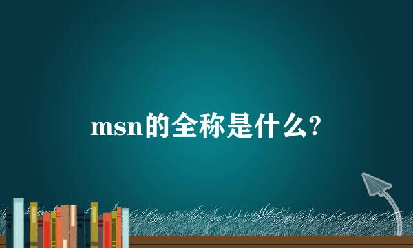 msn的全称是什么?