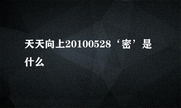 天天向上20100528‘密’是什么