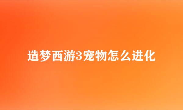 造梦西游3宠物怎么进化