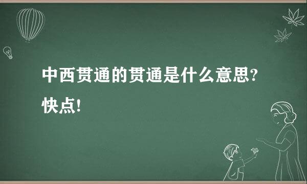 中西贯通的贯通是什么意思?快点!