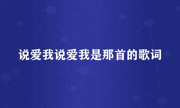 说爱我说爱我是那首的歌词