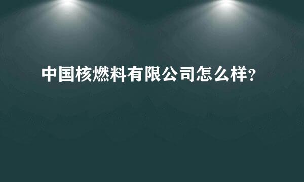 中国核燃料有限公司怎么样？