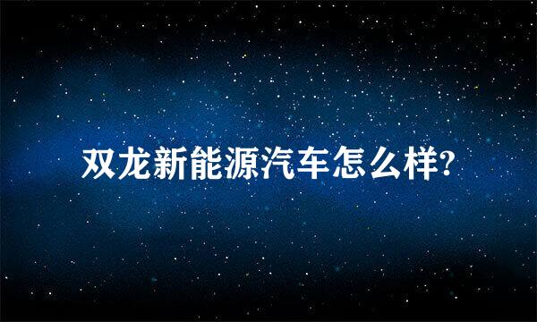 双龙新能源汽车怎么样?