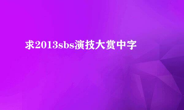 求2013sbs演技大赏中字