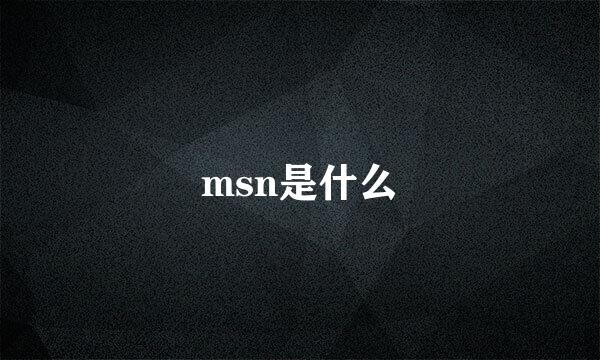 msn是什么