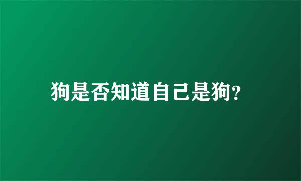 狗是否知道自己是狗？