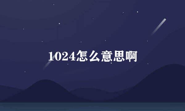 1024怎么意思啊