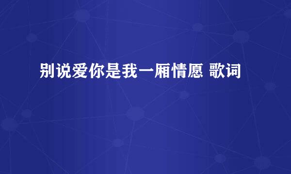 别说爱你是我一厢情愿 歌词