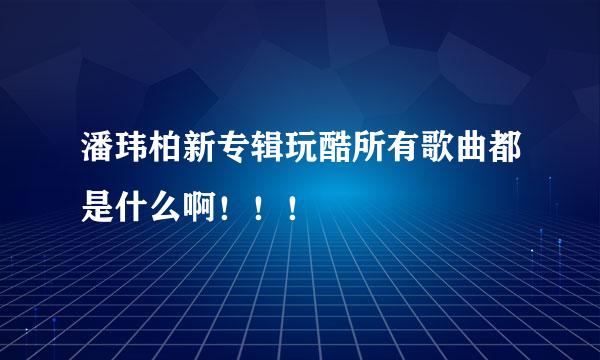 潘玮柏新专辑玩酷所有歌曲都是什么啊！！！