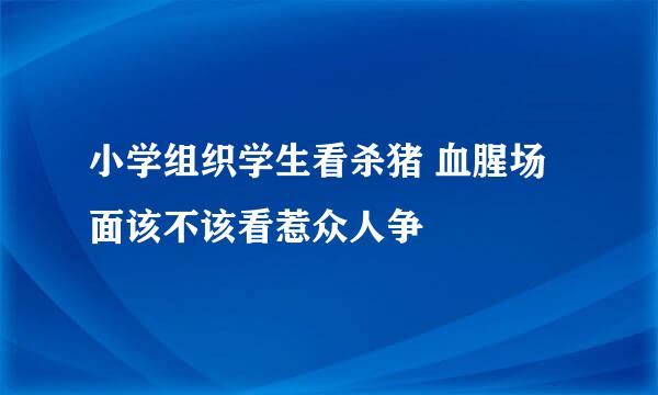 小学组织学生看杀猪 血腥场面该不该看惹众人争