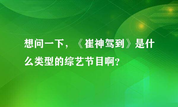 想问一下，《崔神驾到》是什么类型的综艺节目啊？