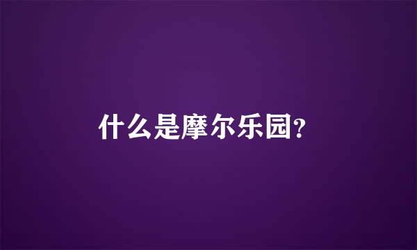 什么是摩尔乐园？