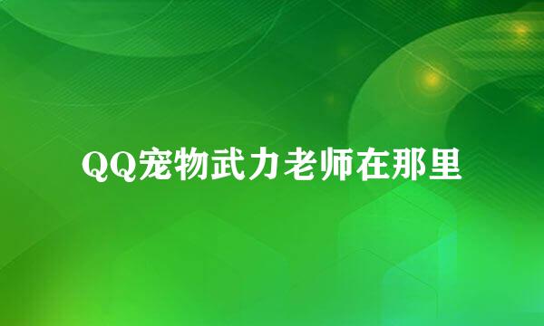 QQ宠物武力老师在那里