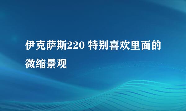 伊克萨斯220 特别喜欢里面的微缩景观