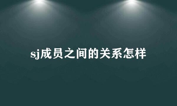 sj成员之间的关系怎样