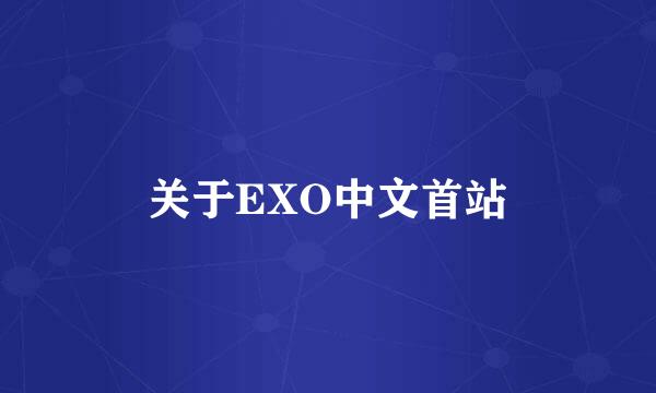 关于EXO中文首站