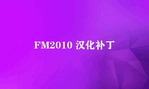 FM2010 汉化补丁