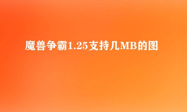 魔兽争霸1.25支持几MB的图