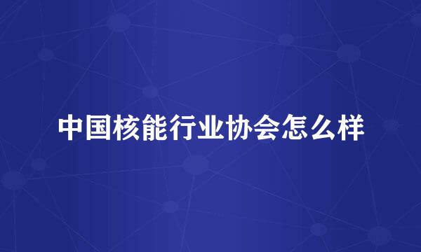 中国核能行业协会怎么样