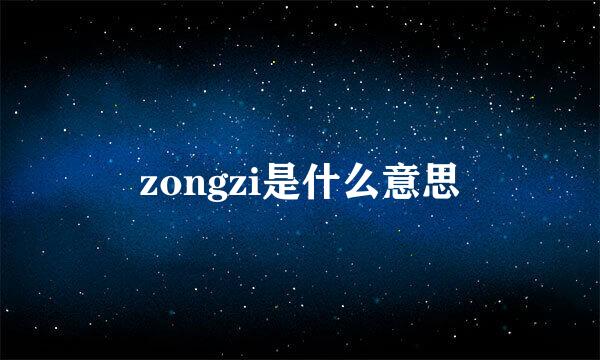 zongzi是什么意思