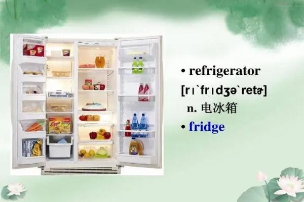 fridge怎么读音