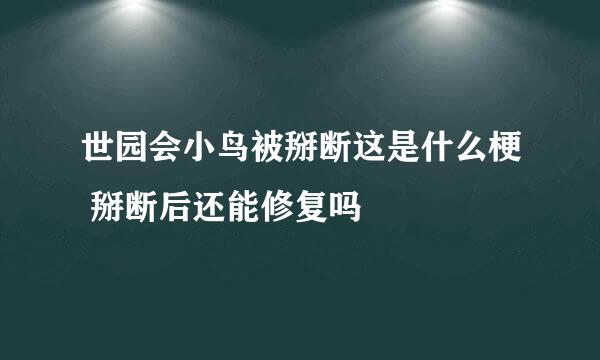 世园会小鸟被掰断这是什么梗 掰断后还能修复吗