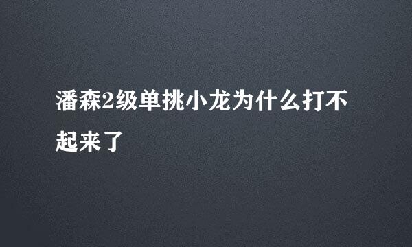 潘森2级单挑小龙为什么打不起来了