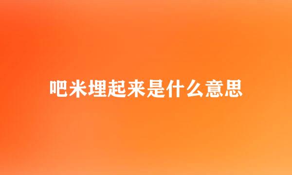 吧米埋起来是什么意思