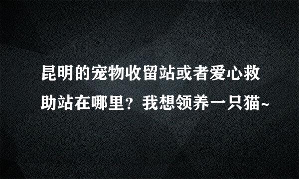 昆明的宠物收留站或者爱心救助站在哪里？我想领养一只猫~