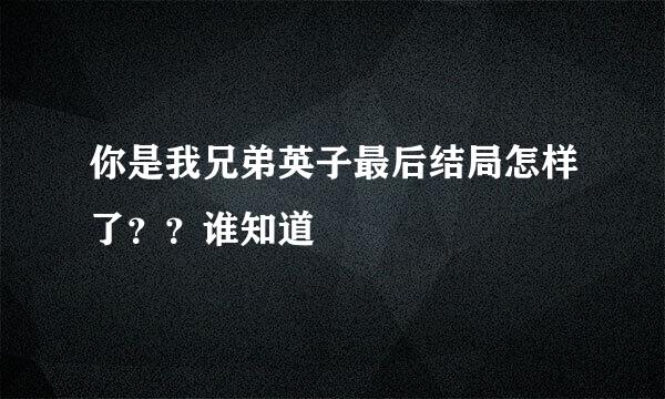 你是我兄弟英子最后结局怎样了？？谁知道