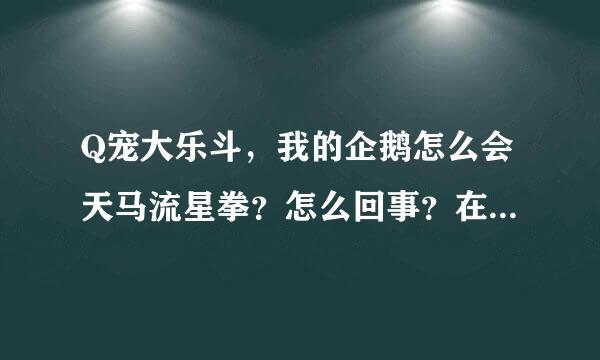 Q宠大乐斗，我的企鹅怎么会天马流星拳？怎么回事？在技能栏里没有这个技能啊？