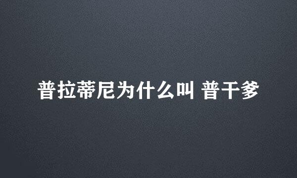 普拉蒂尼为什么叫 普干爹