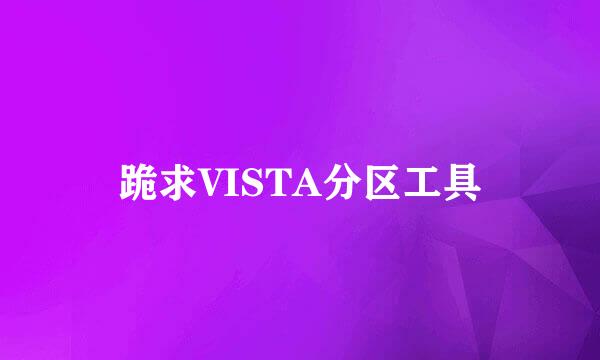 跪求VISTA分区工具