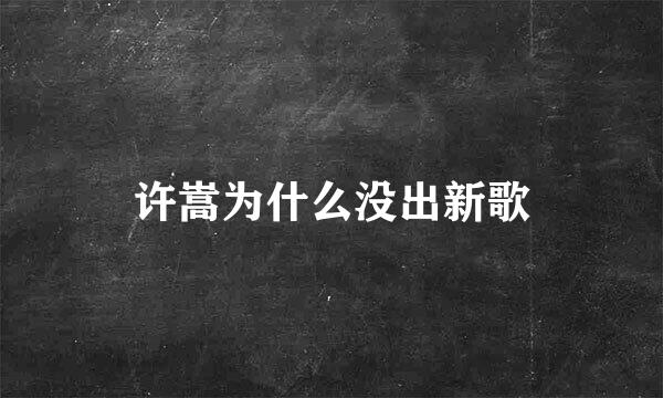 许嵩为什么没出新歌