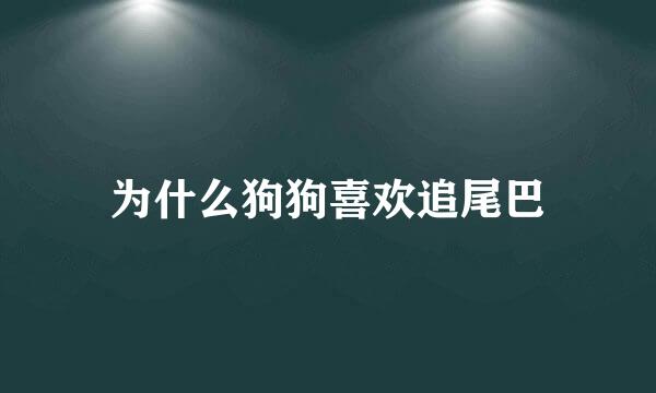 为什么狗狗喜欢追尾巴