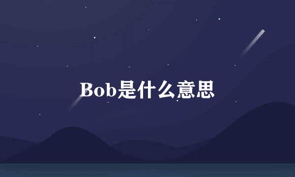 Bob是什么意思