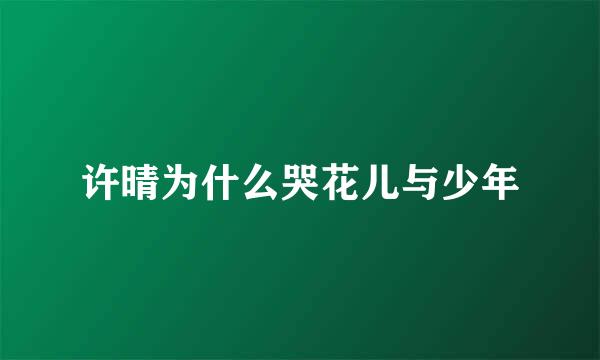 许晴为什么哭花儿与少年