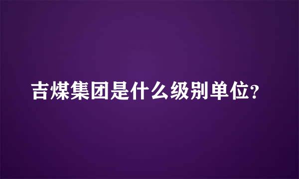 吉煤集团是什么级别单位？