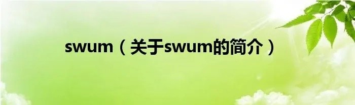 swum什么意思