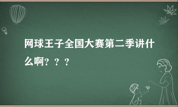 网球王子全国大赛第二季讲什么啊？？？