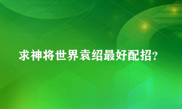 求神将世界袁绍最好配招？