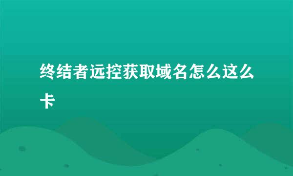 终结者远控获取域名怎么这么卡