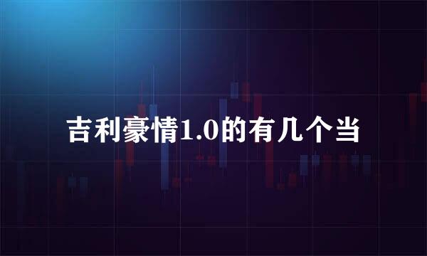 吉利豪情1.0的有几个当