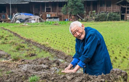 上海百岁老人突破3000，他们长寿的秘诀是什么，为何引人深思？