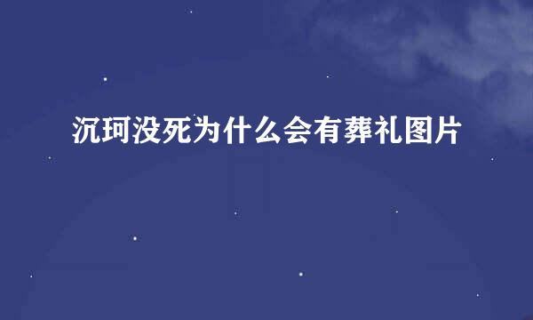 沉珂没死为什么会有葬礼图片