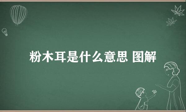 粉木耳是什么意思 图解